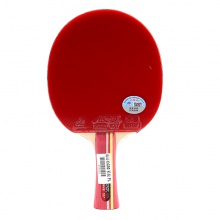 銀河Yinhe C02 成品拍 7層純木結(jié)構(gòu) 初學(xué)者練習(xí)球拍 雙面反膠