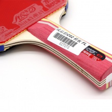 銀河Yinhe C02 成品拍 7層純木結(jié)構(gòu) 初學(xué)者練習(xí)球拍 雙面反膠