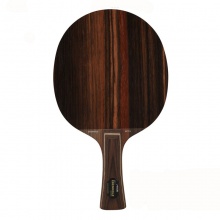 斯帝卡 黑檀5 EBENHOLZ NCT V 專業(yè)底板（郭躍，李曉霞，翟一鳴，江天一曾用）斯蒂卡專業(yè)底板