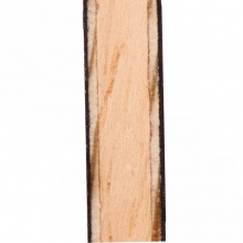 斯帝卡 黑檀5 EBENHOLZ NCT V 專業(yè)底板（郭躍，李曉霞，翟一鳴，江天一曾用）斯蒂卡專業(yè)底板