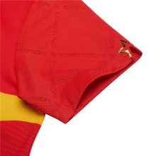 李寧Lining AAYS253-1 乒乓亞運系列國家隊男款乒乓球上衣 赤櫻紅