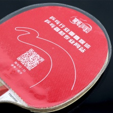 精英保護(hù)膜