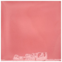 雙魚Doublefish 極星-P 專業(yè)粘性反膠套膠