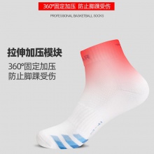 挺拔Tibhar TB100 專業(yè)運(yùn)動(dòng)襪 彩條版 三色可選