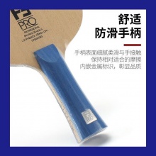 三維Sanwei F3 PRO 5木2碳專(zhuān)業(yè)乒乓球底板球拍5+2內(nèi)置乒乓球拍