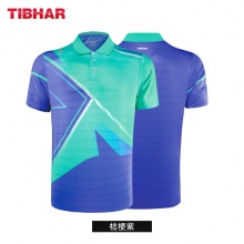 挺拔TIBHAR 致勝2.0 01101乒乓球服夏季透氣T恤短袖乒乓球運(yùn)動(dòng)服訓(xùn)練服