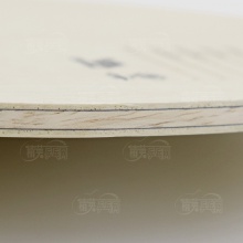 優(yōu)拉JOOLA 游俠 專(zhuān)業(yè)乒乓球拍底板 5+2內(nèi)置碳素結(jié)構(gòu)