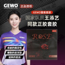 GEWO杰沃薔薇正膠捷沃專業(yè)乒乓球膠皮正膠套膠國家隊(duì)王添藝同款正膠