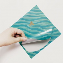 Victas維克塔斯乒乓球反膠保護(hù)膜VC-726防塵貼2片裝膠皮保護(hù)膜2枚裝/紅+藍(lán)(薄軟/粘性) 