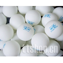 雙魚無星訓(xùn)練球(白)