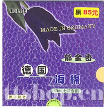 德國(guó)黑郁金香