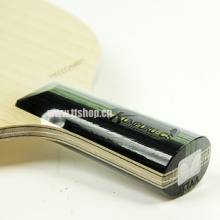 蝴蝶Butterfly 庫帕爾20960