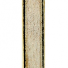 拍里奧Palio 專業(yè)底板 WAY 004