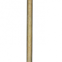 多尼克 黑色力量