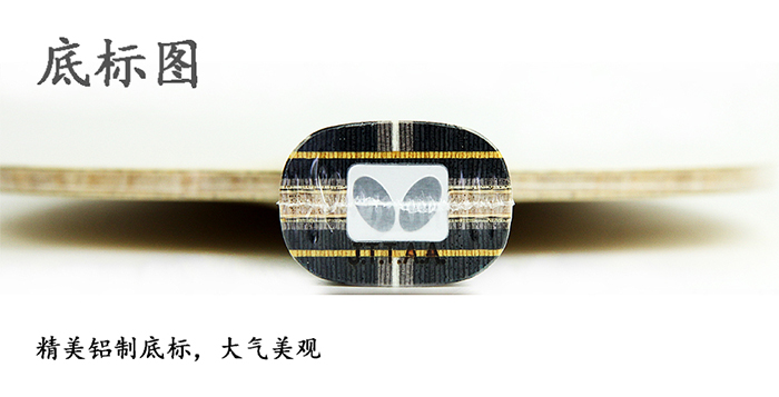 1509524851104692.jpg ZLC暫900-7.jpg