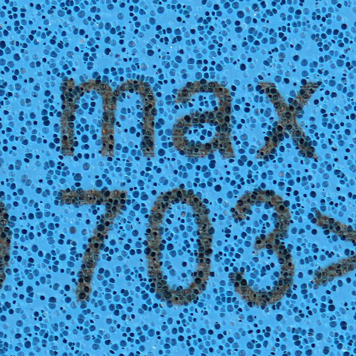 1513128965800262.jpg 705.jpg