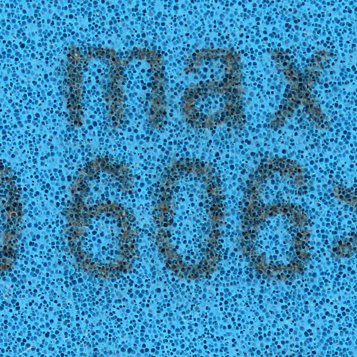 1513129444178581.jpg 705.jpg