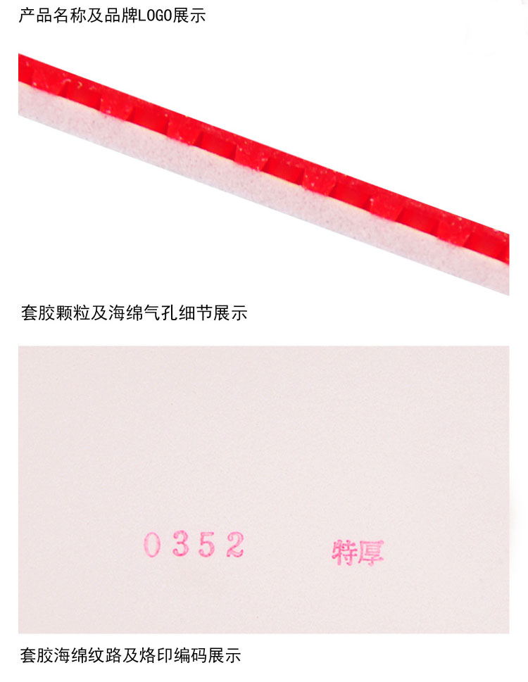 1551748221125545.jpg 紫尼4.jpg