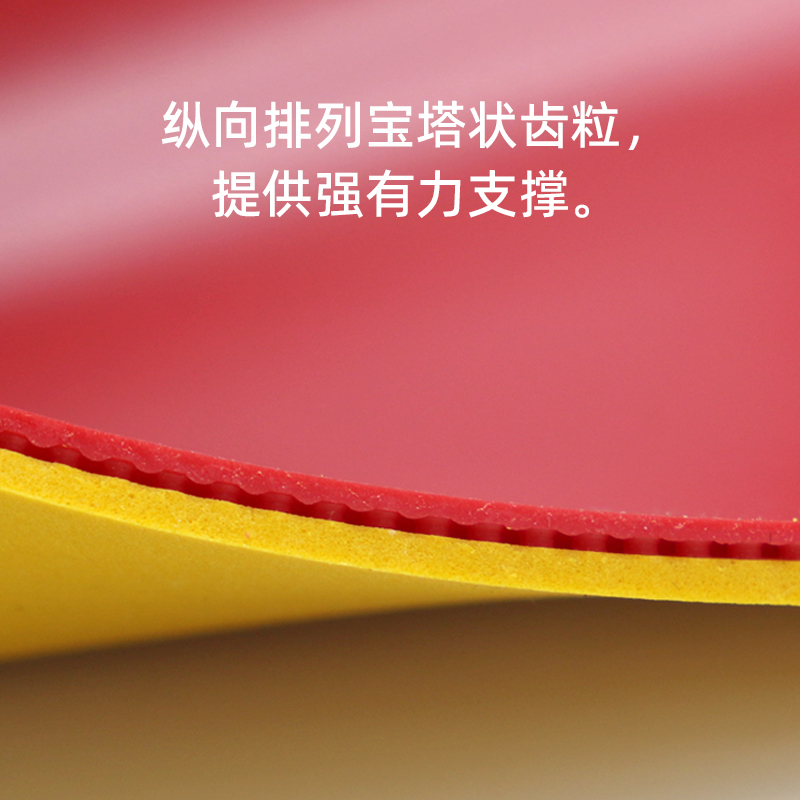 1741587358620131.jpg 主圖2.jpg